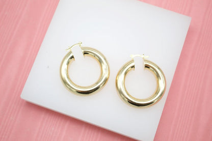 18K Gold Filled Thick Hoop Earrings (19)